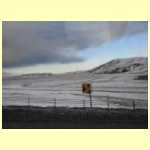 DSCN0716.JPG